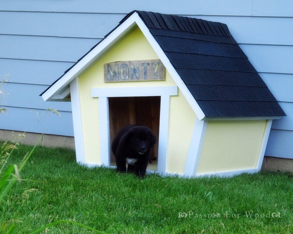 Whimsical crooked-style doghouse with an angled roofline and off-kilter trusses
