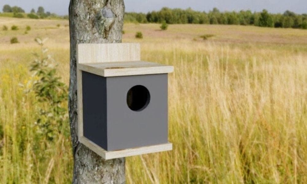 Small modern cedar birdhouse with clean flat panels