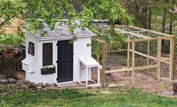 Walk-in shed style chicken coop with shuttered windows and external nesting box