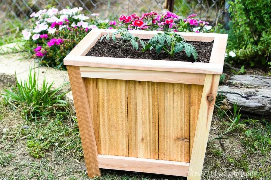 Angled Cedar Planter