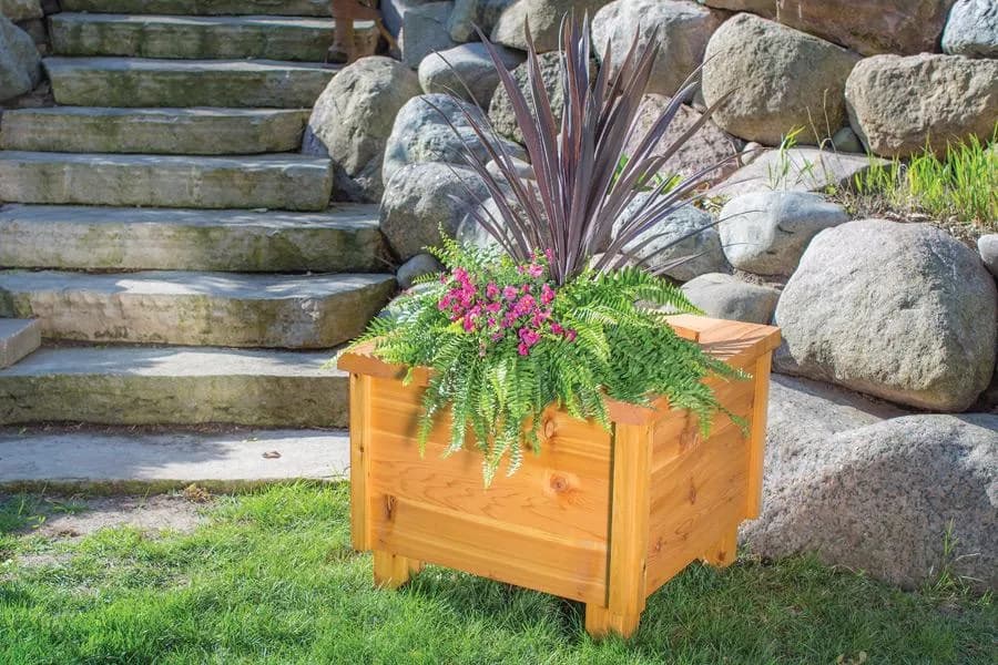 Cedar Planter