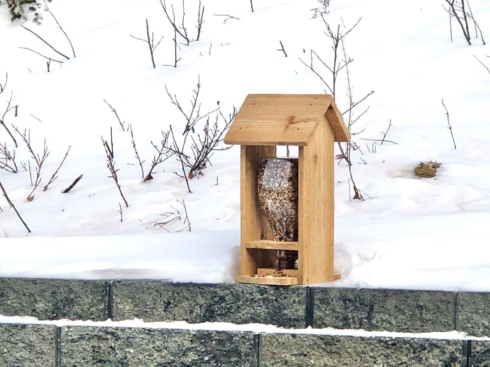 House-shaped cedar bird feeder with reused bottle reservoir