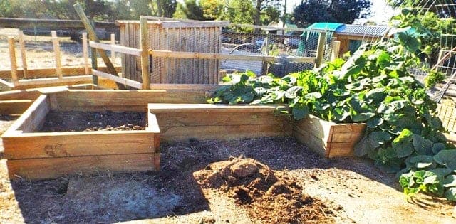 Large cedar raised garden bed on 4x4 posts with an optional trellis backdrop