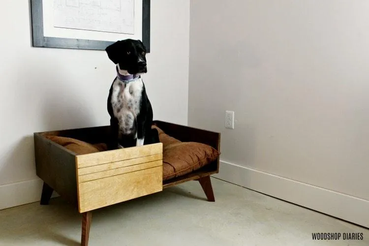 DIY Modern Dog Bed