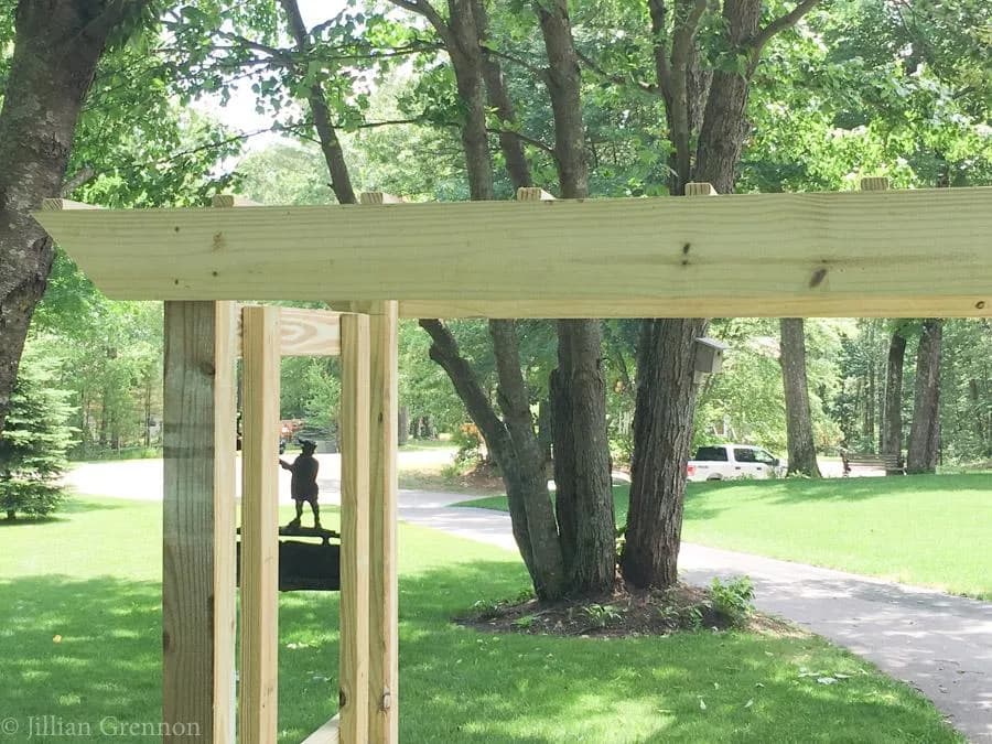 Simple Arbor