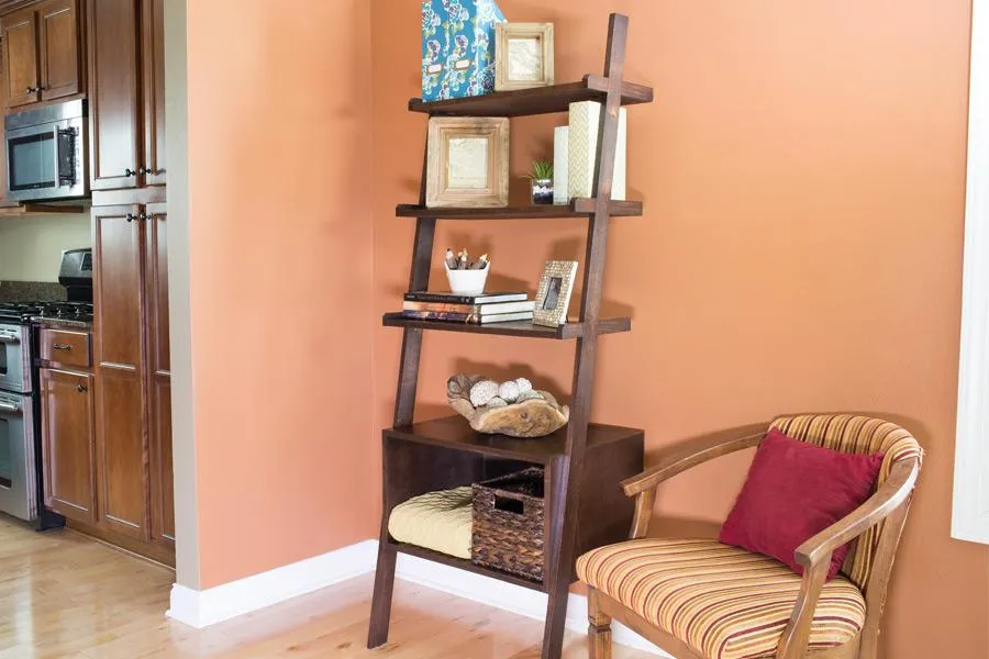 Ladder Shelves
