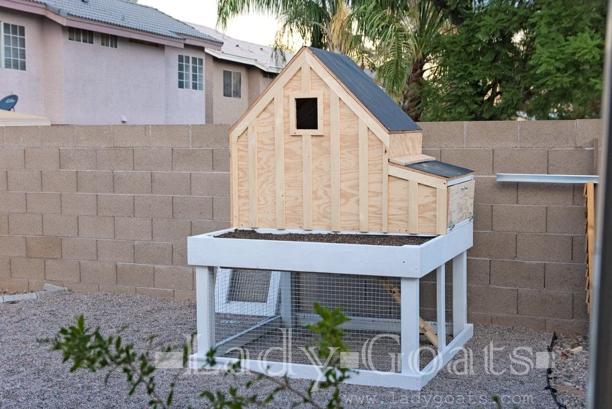 Small raised chicken coop with under-run, external nesting box, and built-in planter