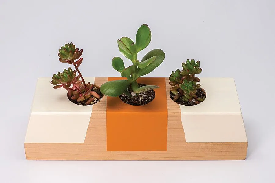 Succulent Tabletop Planter