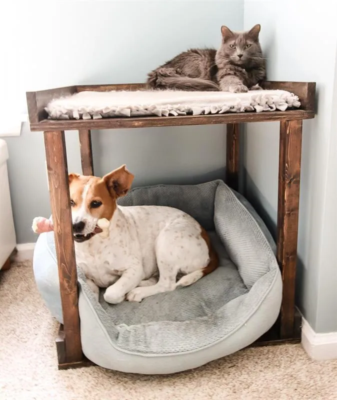 Pet Bunk Bed