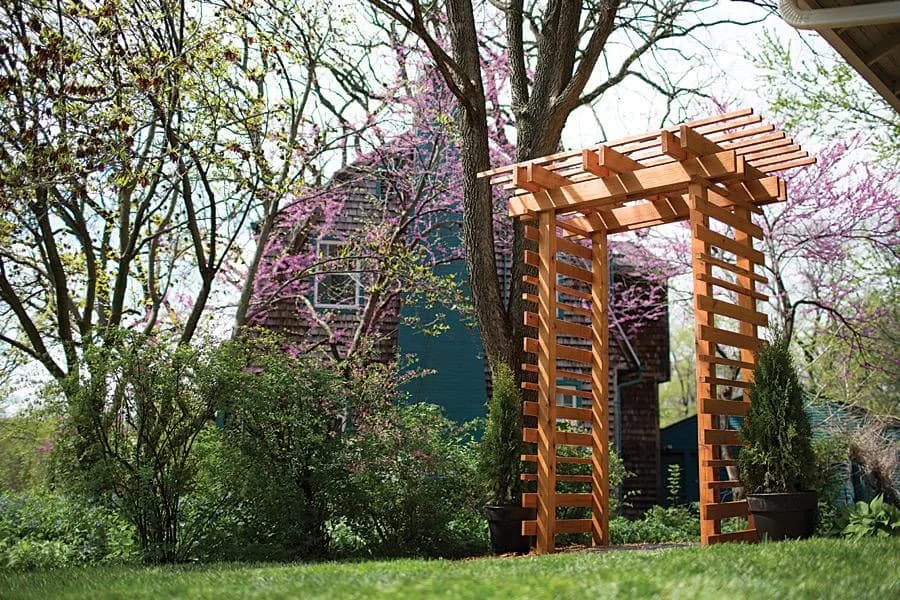 Cedar Arbor