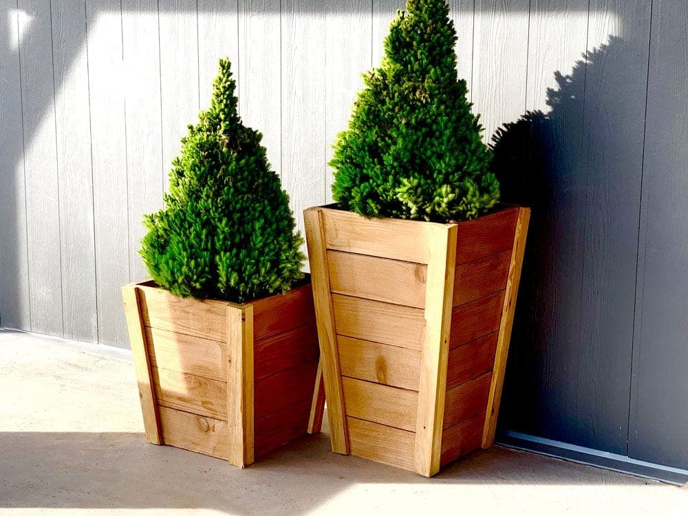 Pair of tall tapered cedar planters flanking a front door