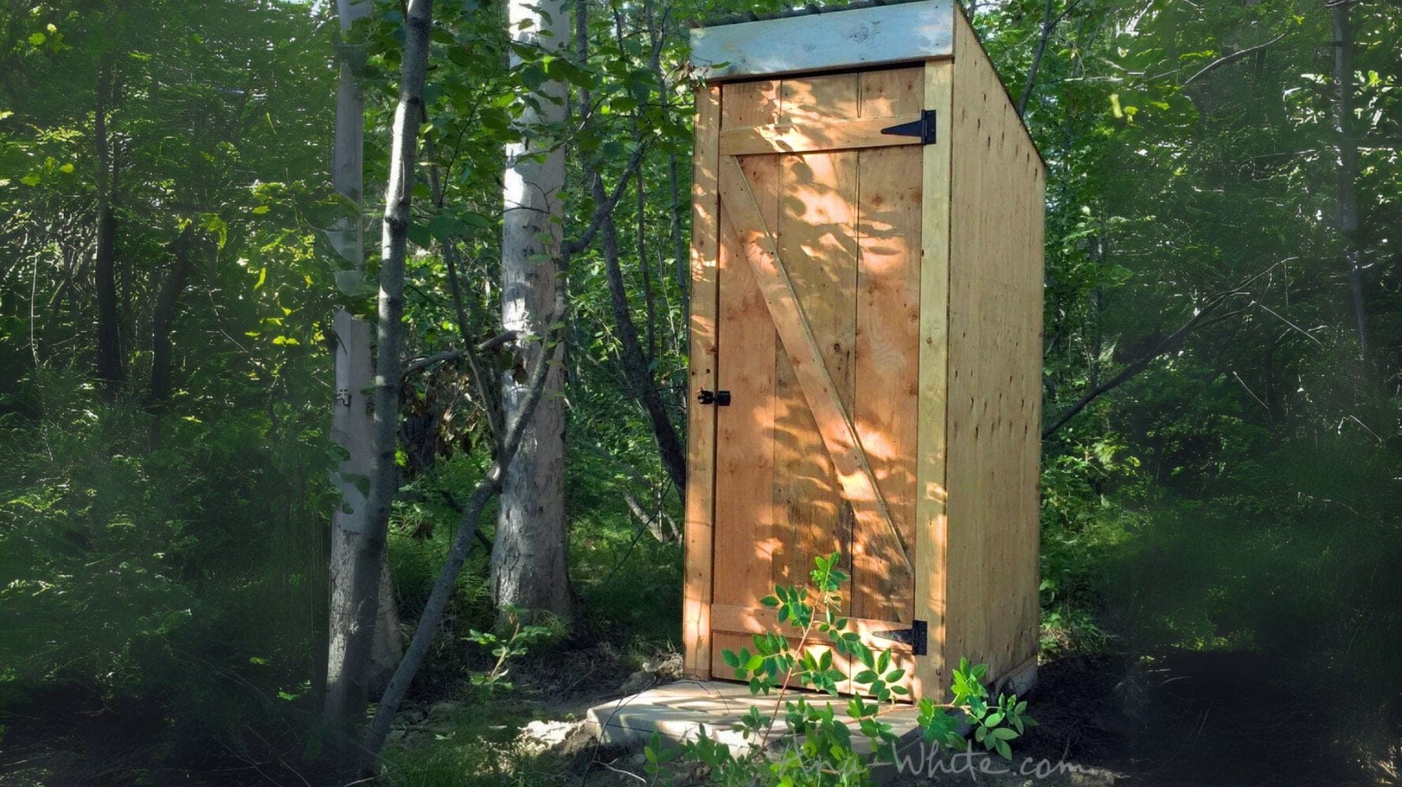 Small wooden outhouse with sloped metal roof and board-and-batten door
