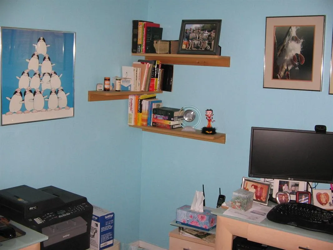 Corner Shelves