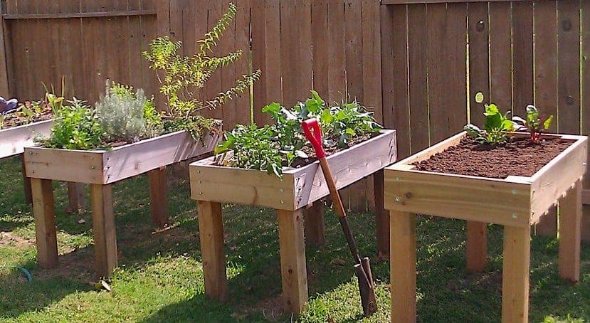 Elevated bolted cedar garden box on 4x4 legs with mesh floor