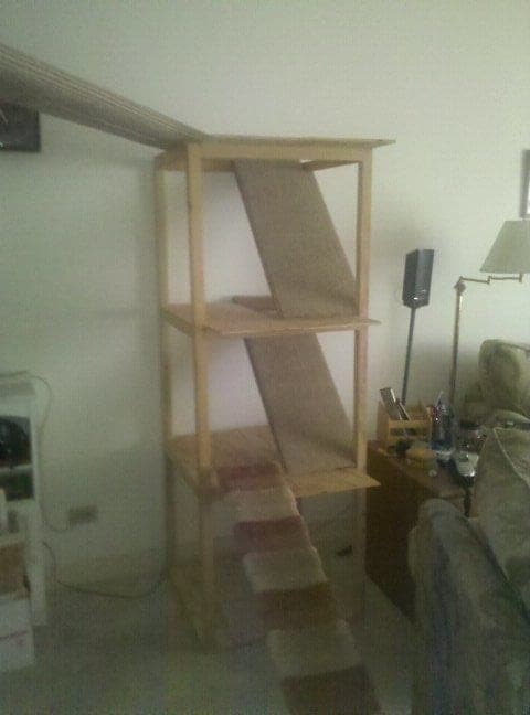 Tall homemade cat tower with plywood platforms and ramps between levels
