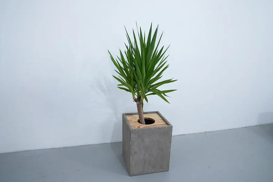 Lightweight Concrete Planter