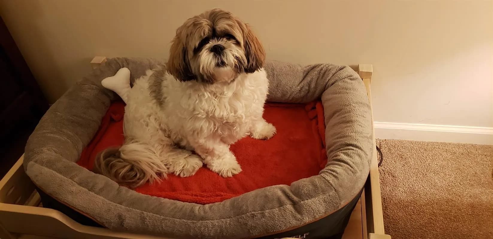 Dog bed frame — step photo 16